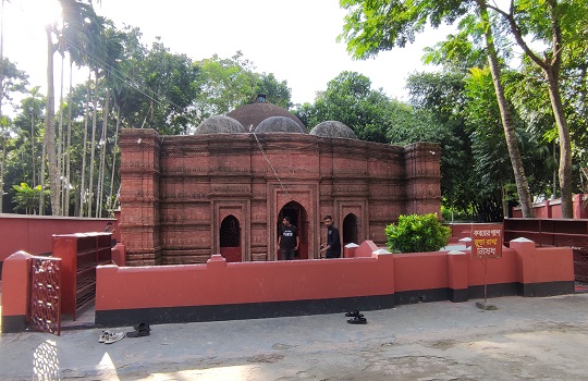 image-here